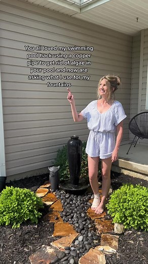 Copper Pennies: The Secret to Algae-Free Fountains