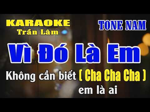 Karaoke Vì Đó Là Em Tone Nam ( Đô thứ ) Beat chuẩn Dễ Hát - Karaoke Trần Lâm