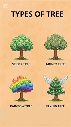 “These Trees Defy Nature 😱 | Spider Tree, Flying Tree & Rainbow Tree”#shorts