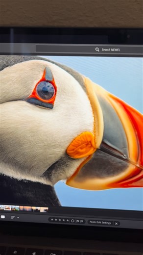Jonathan St-germain on Instagram: "I love it so much 😍 Shot on Sony A7IV+24-105 f4 . . . . . #sony #puffin #canada #photo #birds"