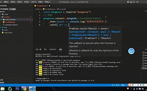 node mongodb连接 插入 导入mp4