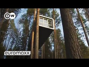 Tree House in Sweden: Do you want to sleep in this Design Tree House Hotel? | euromaxx