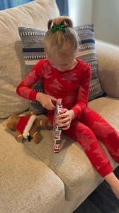 321 reactions · 33 shares | Bring home the magic! Get The Rise of Nicholas the Noble — an adventure story your kids will love. | The Elf on the Shelf | Facebook