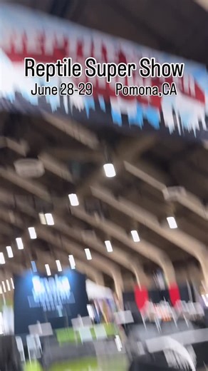 Reptile Super Show opens in less than an hour! So many amazing animals, you have to come see it for yourself self! 10am-5pm today, and 11am-5pm on Sunday! Tickets online or at the door! See you here! | Reptile Super Show