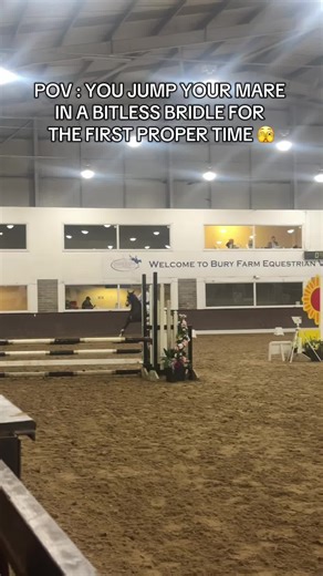 First Jump in a Bitless Bridle: A Memorable Moment