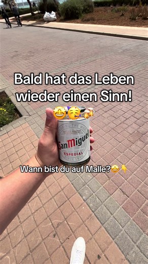 Malle Vibes: Sonne, Strand & San Miguel