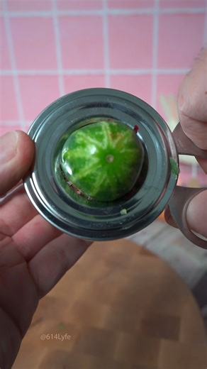 Cucumber vs. cutter