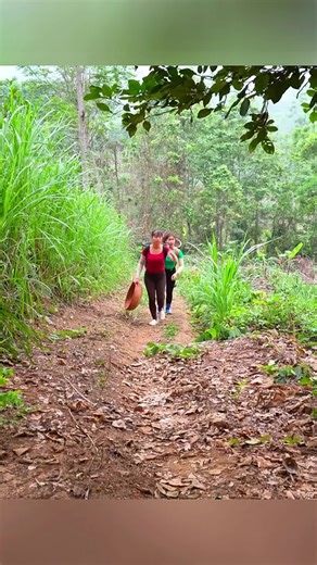 Harvesting Fresh Fruits: A Day on the Farm