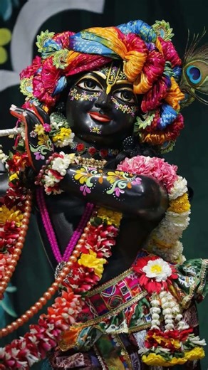 🙏🏻🙏🏻#love#bihariji#krishnabhajan#radheradhenaam#devotionalsong#new#
