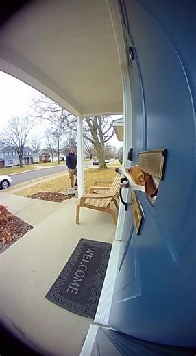 This dog turned the mail slot into a JUMPSCARE 😭🐶📬💥 Everything was peaceful… until the dog decided to turn the mail slot into its own personal drive-thru window. 😭💀 The second the delivery driver bent down, that little head POPPED out like a horror movie jump-scare — barking, wiggling, and shaking the whole door. He came to drop a package… but almost dropped his SOUL. 😭📬🐶 Ring cam = undefeated. #dog #dogs #dogslife #pet #pets | Animal Encounters