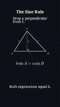 Where Does the Sine Rule Actually Come From?
