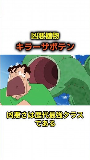 【凶悪植物】キラーサボテンとは #クレヨンしんちゃん #クレしん
