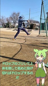 【ソフトボール】ライズ系ファストピッチャー向け簡単変化球【ずんだもん解説】