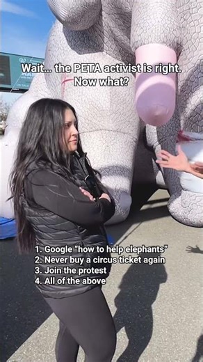 We Hope You Picked #4… 🐘💔