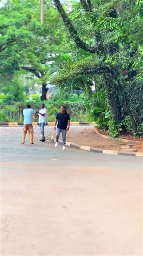 Celebrating Life's Joys and Memes