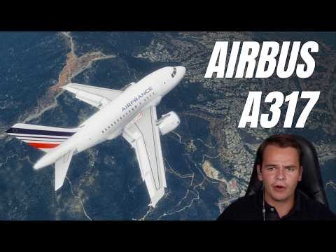I Built The Airbus A317