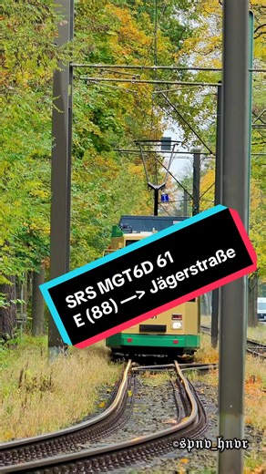 Der Heidelberger Tram zwischen Berlin und Brandenburg
