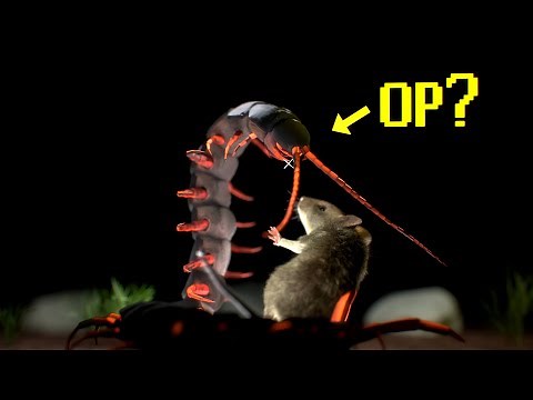 Are Centipedes Broken in the Current Meta?