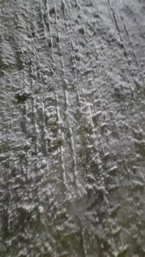 Exploring Austria and Slovenia with Scania S730 and Claas 510