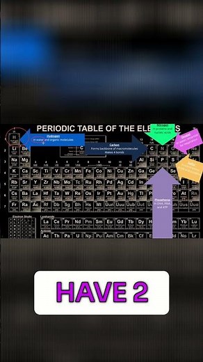 Human Body: Water and Key Biological Elements Explained!