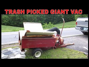 Can We Save This Rotted Out Leaf Sucker?