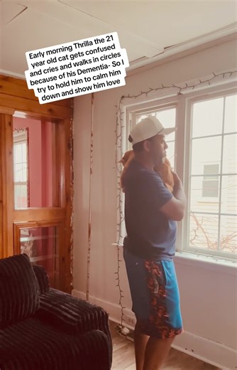 #catsoftiktok #cats #fyp #dementia | Cat Of TikTok