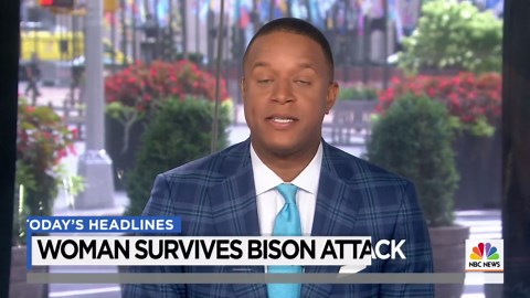 Bison attacks woman taking photos of herd at South Dakota state park