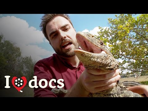 The Most Invasive Species On The Planet - Alien Invaders - Nature Documentary