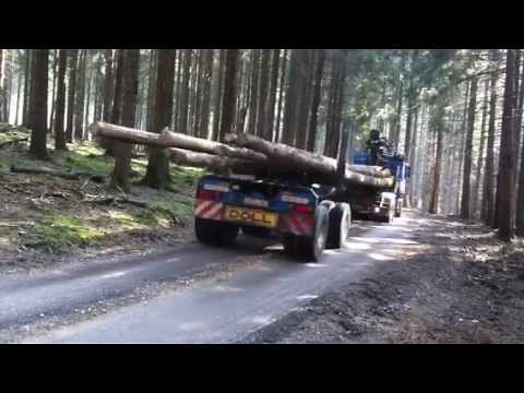 Langholztransporter rückwärts zum beiladen