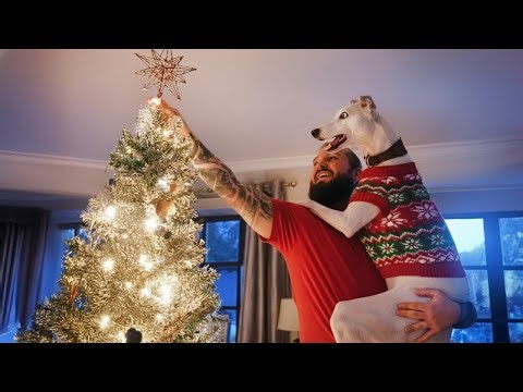 These Dogs Go Crazy Over Their First Christmas 🎄🐶 Try Not To Laugh Funny Animals 2025