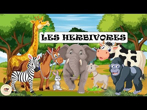 Apprendre facilement et rapidement aux enfants les différents regimes alimentaires - Les herbivores