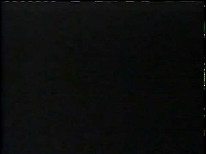 Cinar/Alphanim (1999)