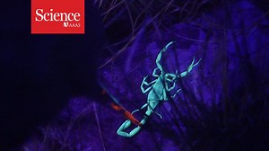 416 reactions · 161 shares | Science is proud to present our XX...