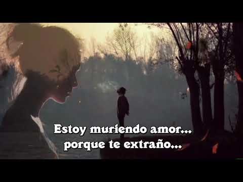 Luis Miguel "Te Extraño " letra