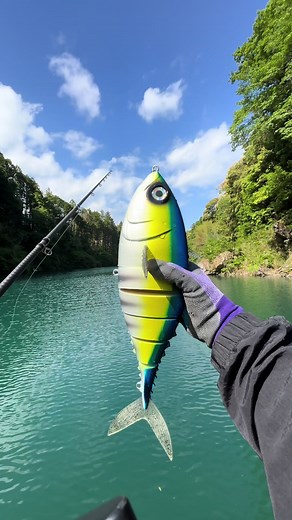 ストロングマインド…#バス釣り