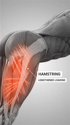 How To Force Your Hamstrings To Grow 🔥 #bodybuilding #fitness #hypertrophy #hamstrings