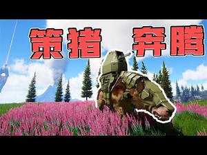 Ark Survival Evolved: Anshi Beast! Charge forward, boy riding pig! New Creatures in Viking Bay!