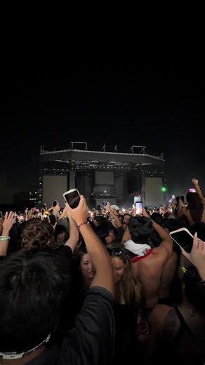 Clarity live POV — Zedd in the Park Knock2 rave