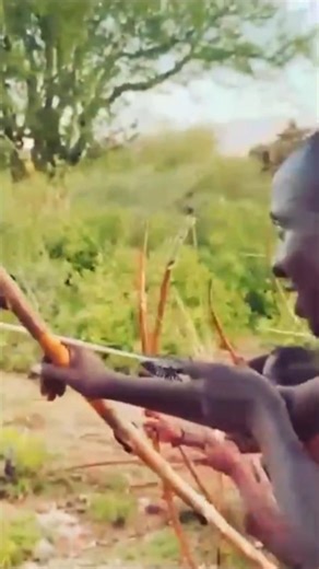 ​🏹 Guerreiros Ancestrais: Ancient Archery Skills! 🎯 पूर्वजों की कला#shorts #wildlife
