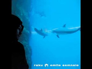 raku feat. Cedry2k si DJ Faibo X - prin foc