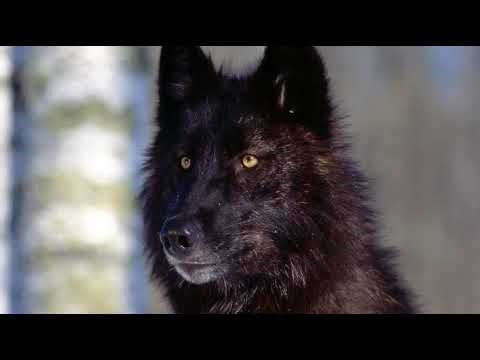 Transmisión en vivo de sadiel mejia