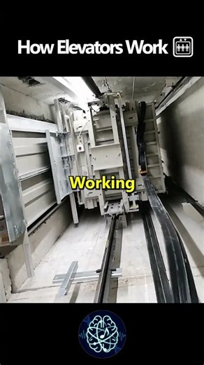 How Elevators Work 🛗