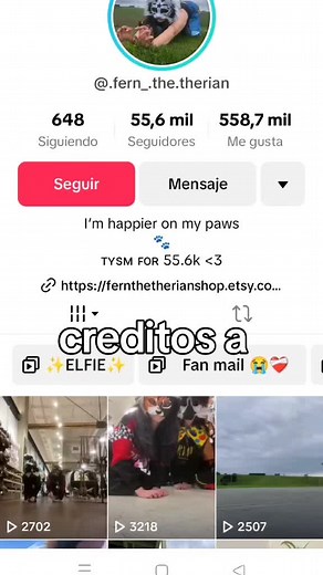 Cuentas recomendadas