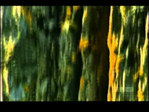 Britain BC Episode 2 The Spirituality Of Ancient Britain