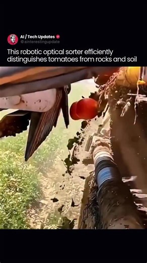 AI / Tech Updates | Robotics Is Quietly Reshaping Modern Farming Agriculture has entered a new phase where robotics and AI work behind the scenes to... | Instagram
