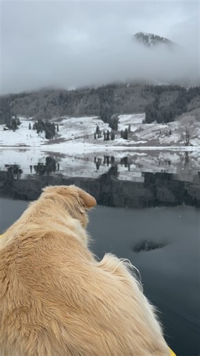 Telluride Humane Society | Float before deflating. #telluride #colorado | Instagram