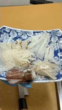 【秋田】定置網で獲れたヤリイカ、炙りにしたら刺身より旨かった