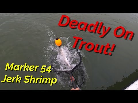 Guided Inshore Fishing Trips With Clean Fun Fishing Port Aransas Aransas Pass Rockport Charter