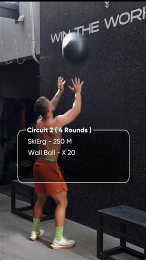 Full Body Strength Workout Program