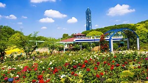 東山動植物園とは？人気の動物や遊園地、東山スカイタワーもご紹介 – skyticket 観光ガイド